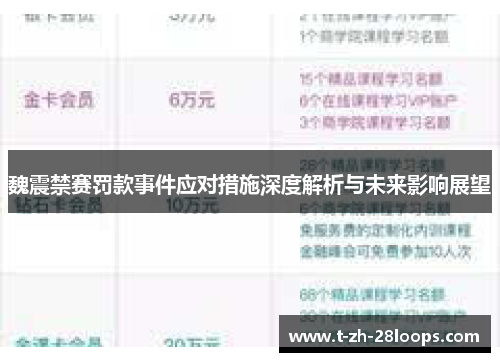 魏震禁赛罚款事件应对措施深度解析与未来影响展望